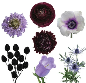 Modern romance in lavender and black wedding flower bundle.