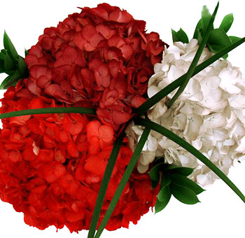 Online Flower Ordering on Red White Centerpieces