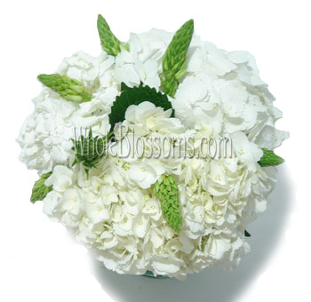 Elegant white hydrangea centerpieces adorning wedding tables