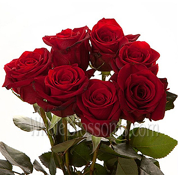  Flower on Wholesale Roses   Buy Roses Wedding Flowers