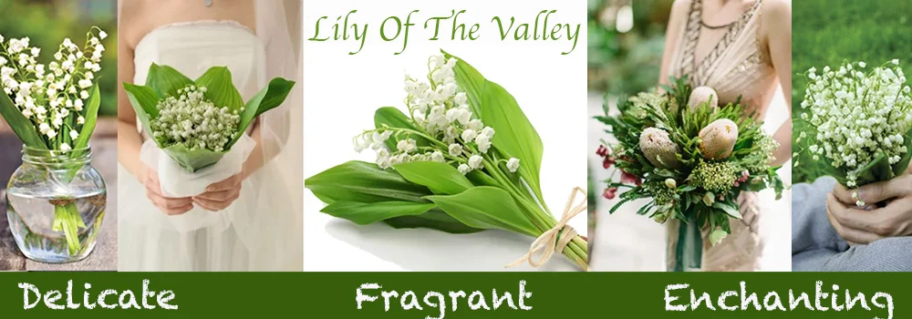 Lily Of The Valley Near Me