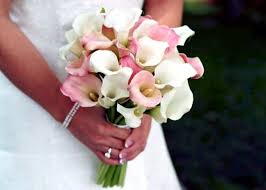 Calla Lilies - Wedding