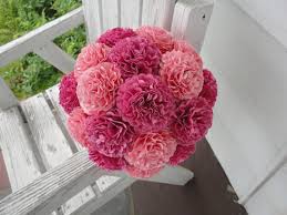 Carnations - Wedding 1