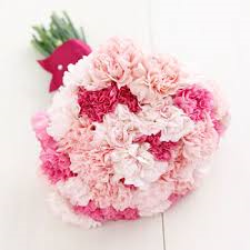Carnations - Wedding