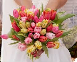 Tulips - Wedding