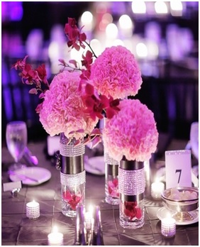 Dark Pink Carnations