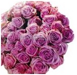 lavender_wholesale_roses_6
