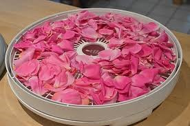 How To Dry Rose Petals Using a Dehydrator