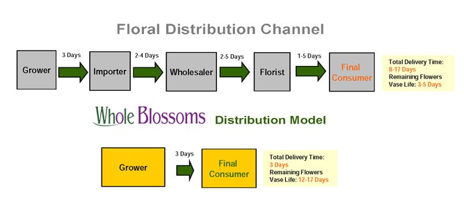 Floral Distribution Channel - WholeBlossoms