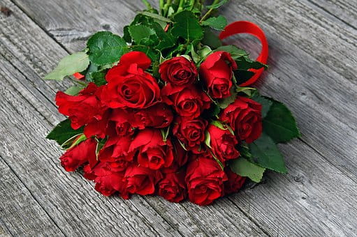 Valentine’s day roses 