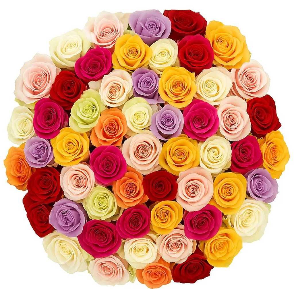 Assorted extra long stem roses in mixed colors perfect for wedding bouquets centerpieces and floral arrangements