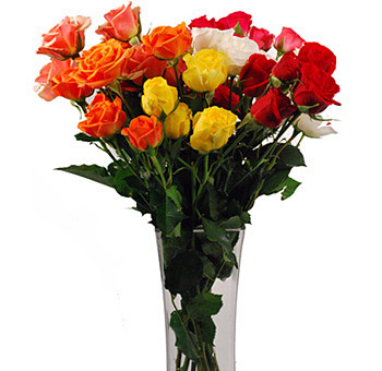 Custom spray rose bundle in chosen colors, perfect for weddings, florists, and premium bulk floral needs.