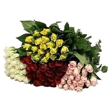 Charming Assorted Sweetheart Roses in soft hues, ideal for personalized gifts, bridal bouquets, and stylish events.