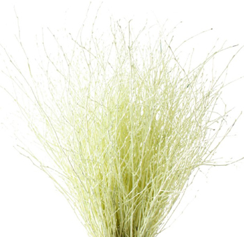 Birch Branch Decor