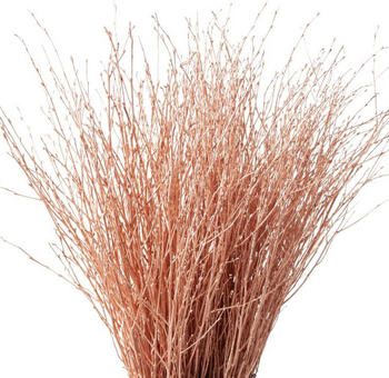 Decorative Branches