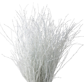 Tree Branch Decor