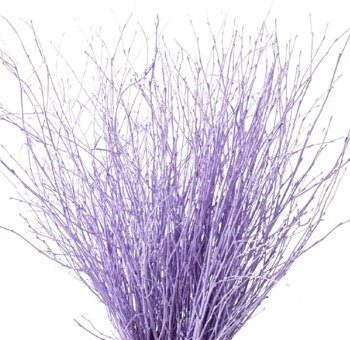 Decorative Branches