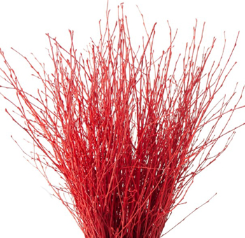 Decorative Branches