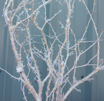 Tree Branch