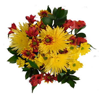 Fall centerpieces with yellow spider mums, red alstroemeria, yellow and novelty daisy poms, and Israeli ruscus.