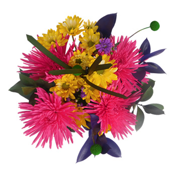Summer Flowers