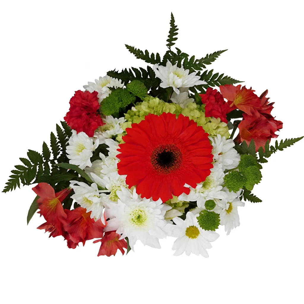 Holiday centerpiece with red gerbera daisy, white pompons, red carnations, green button poms, alstroemeria, and fern greenery.