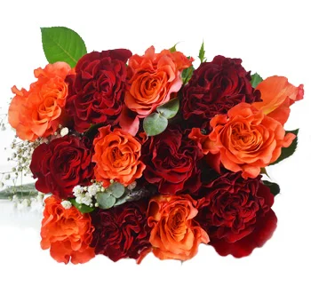 Brilliant red & orange roses in bulk – perfect for weddings, events & special celebrations.