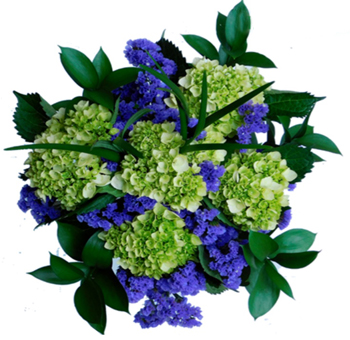 Floral arrangement featuring vibrant green hydrangeas and deep purple statice flowers, accented with rich green leaves, creating a fresh, colorful bouquet perfect for special occasions or décor.