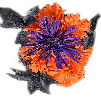 Halloween Flowers
