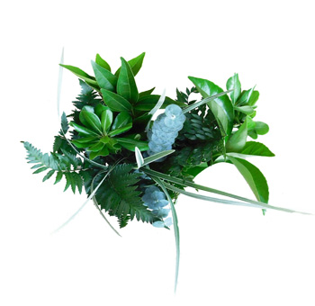 St Patrick's Day Flowers