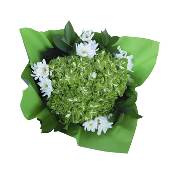 St Patrick's Day Flowers