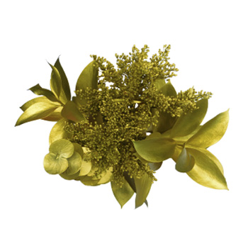 Gold-tinted St. Patrick greenery adds shimmer to weddings, gifts, and premium floral arrangements.