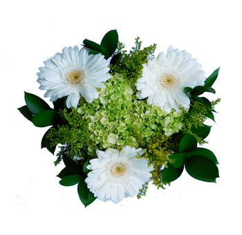 St. Patrick’s Day Hydrangea Centerpiece with green and white blooms. Vibrant hydrangea centerpiece perfect for festive Irish-themed décor.