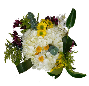 A stunning Vibrant Autumn Hydrangeas Centerpiece featuring white hydrangeas, sunflowers, burgundy mums, and lush greenery.