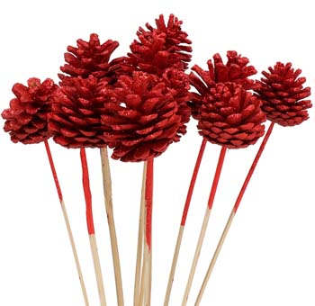 Red Pine Cone
