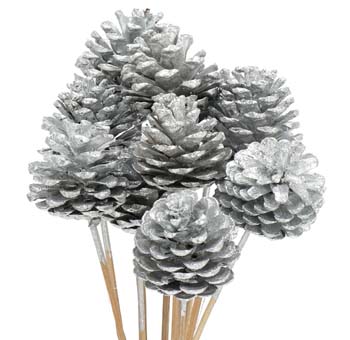 Silver Pine Cones