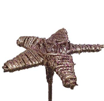 Champagne glitter Lata star for weddings, events, and seasonal floral styling.