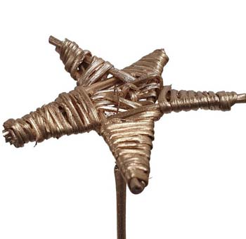 Champagne Lata star for elegant weddings, gifts, and luxurious holiday décor.