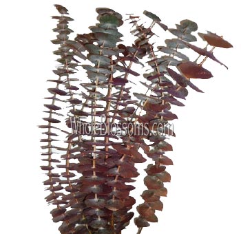 Bronze Flowers