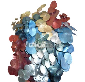 Hanukkah Colors
