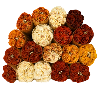 Fall bulk roses collection with cream, orange, yellow, red, terracotta and peach roses in bulk, perfect for weddings, events, and décor at wholesale prices.