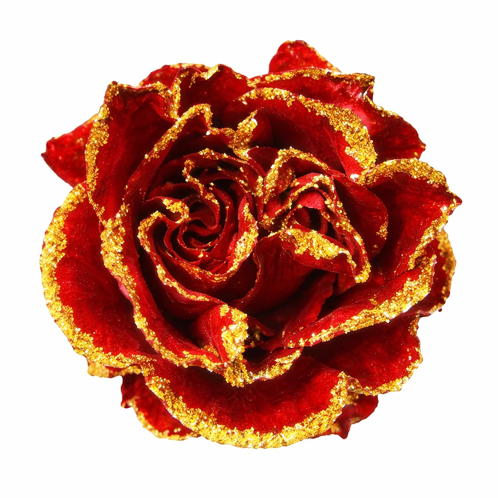 Dyed Roses - Golden Rain with red petals dusted in shimmering gold glitter, perfect for weddings, anniversaries, and luxurious holiday floral arrangements.