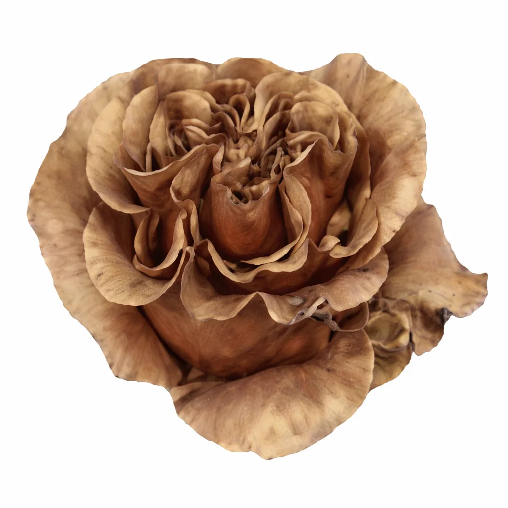 Golden Rose - Xmas Bulb with metallic gold petals and vintage-inspired charm, ideal for festive floral arrangements and winter weddings.
