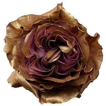 Roses For Sale