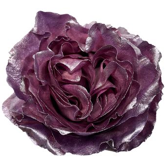 Close-up of Rhapsody Tinted Lavender Rose with deep purple and metallic shimmer.