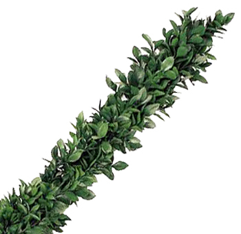 Ruscus garland with rich green leaves, woven into a dense, 5-inch wide decorative strand.