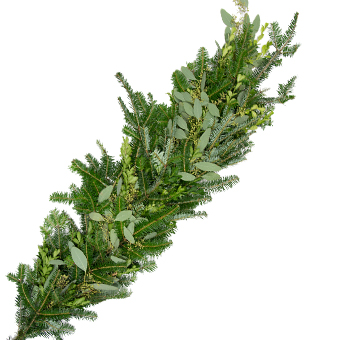 Fresh Very Merry Christmas garland 5 inches wide with fraser fir boxwood and seeded eucalyptus WholeBlossoms