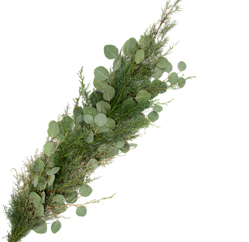 Fresh Jack Frost Christmas garland 5 inches wide with silver dollar eucalyptus and carolina sapphire WholeBlossoms