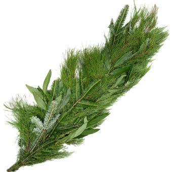 Fresh Christmas Garland Home for the Holidays 5 inch regular width fresh evergreen greenery for holiday mantel decor