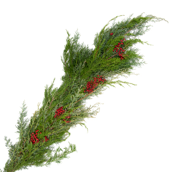 Fresh Christmas Garland Winter Wonderland 5 inch regular width fresh evergreen greenery with red berries mantel decor